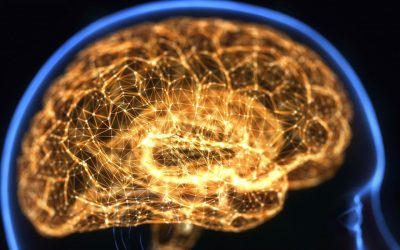 Pain Neurotags: Why do I need to know this?