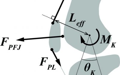 Knee joint reaction force across different activities